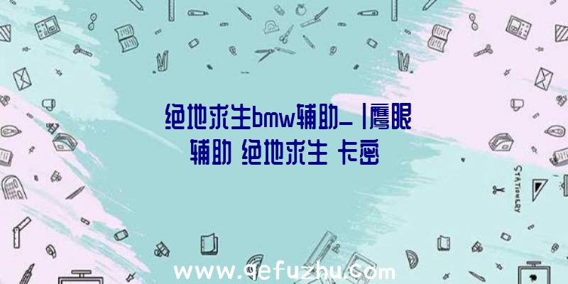 「绝地求生bmw辅助_」|鹰眼辅助